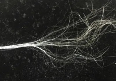 האם מונופילמנט ניילון אינו סופג? המדריך המלא לאנשי מקצוע בתחום הרפואה